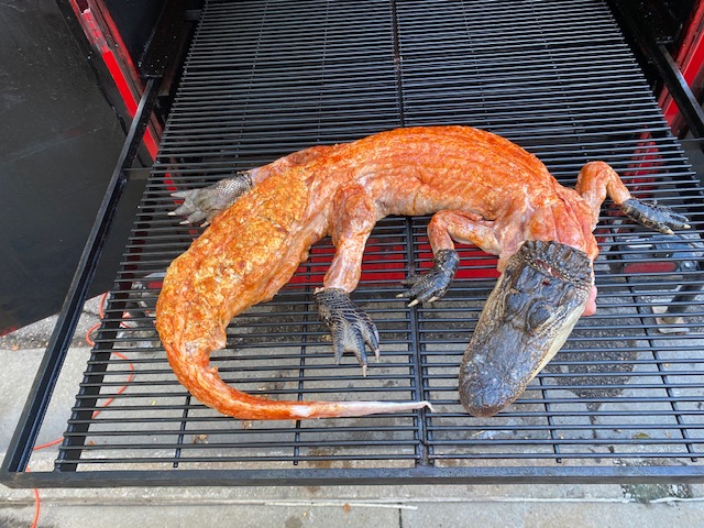 What Part of the Alligator Can You Eat?